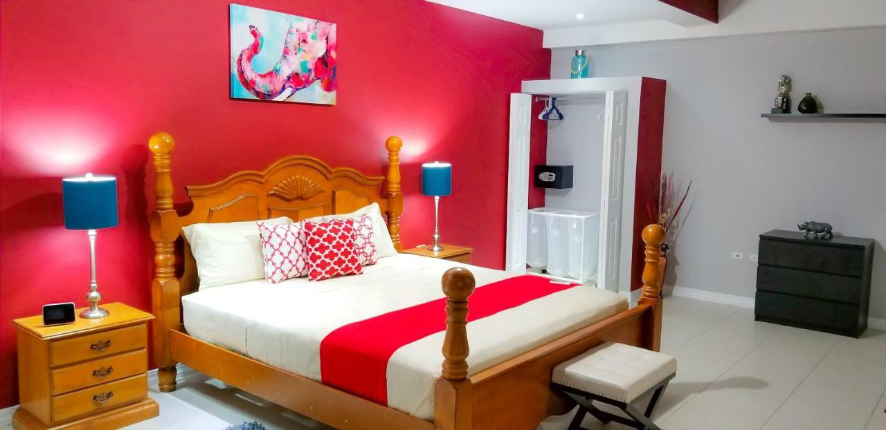 New Kingston Guest Apartments @ Donhead Екстер'єр фото